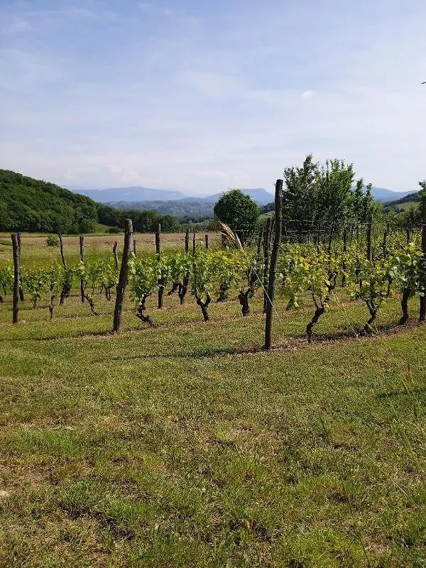 Chez Karine Bed & Breakfast Ceyzerieu France