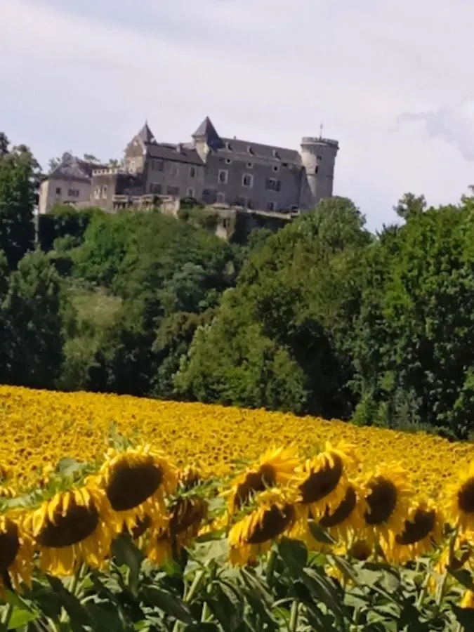Chez Karine Bed & Breakfast Ceyzerieu 0*,